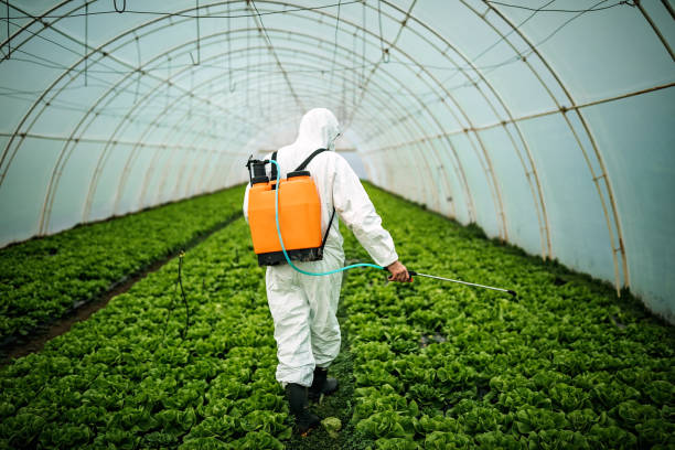 Best Pest Removal Services  in Asbury Park, NJ