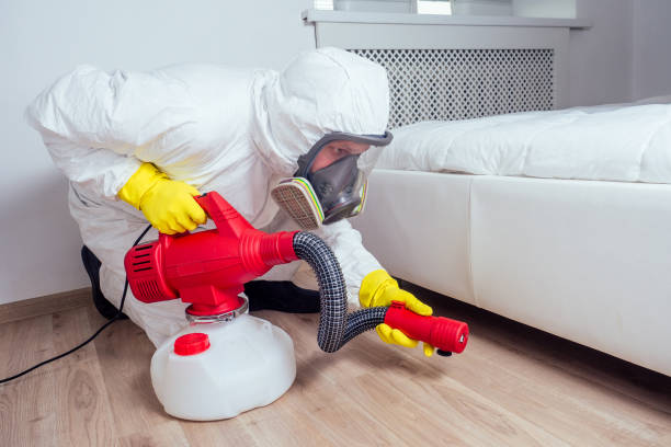 Best Insect Control  in Asbury Park, NJ