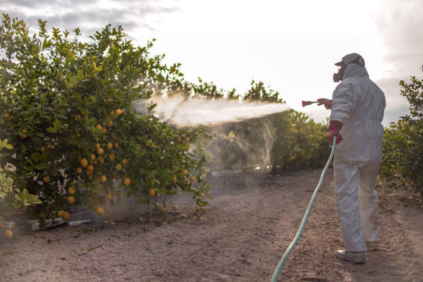 Professional Pest Control in Asbury Park, NJ