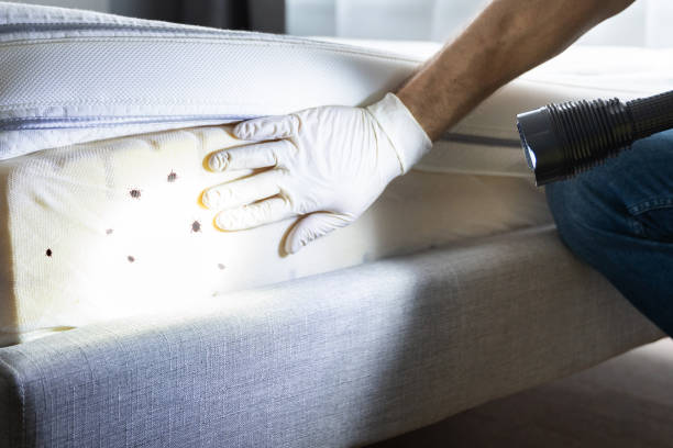Best Pest Control for Homes  in Asbury Park, NJ