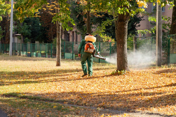 Best Pest Removal Services  in Asbury Park, NJ